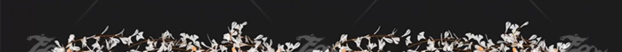 su ls25 landscape atmosphere lights