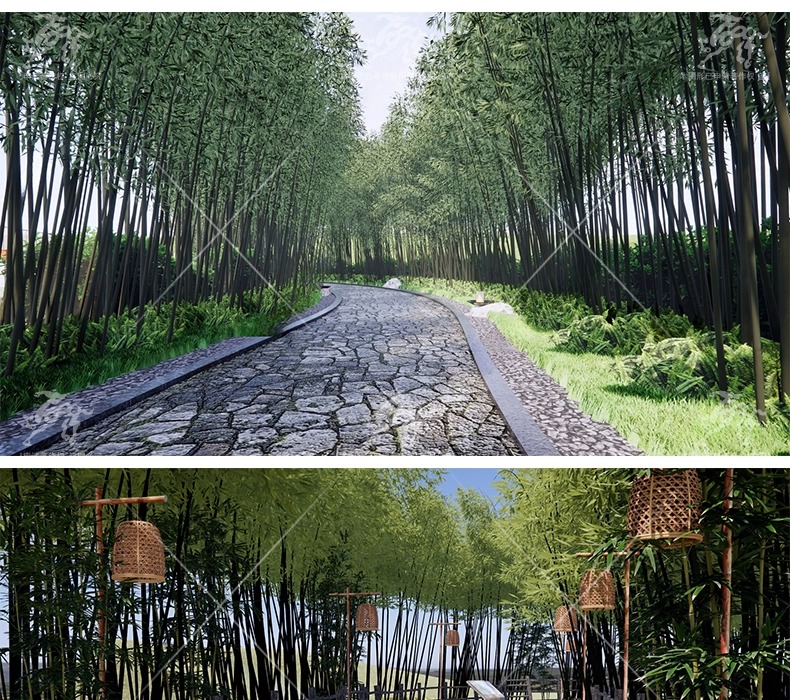 su ls49 bamboo forest