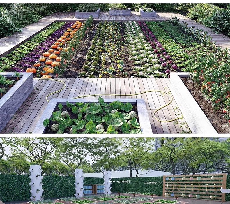 su ls63 crops and animals