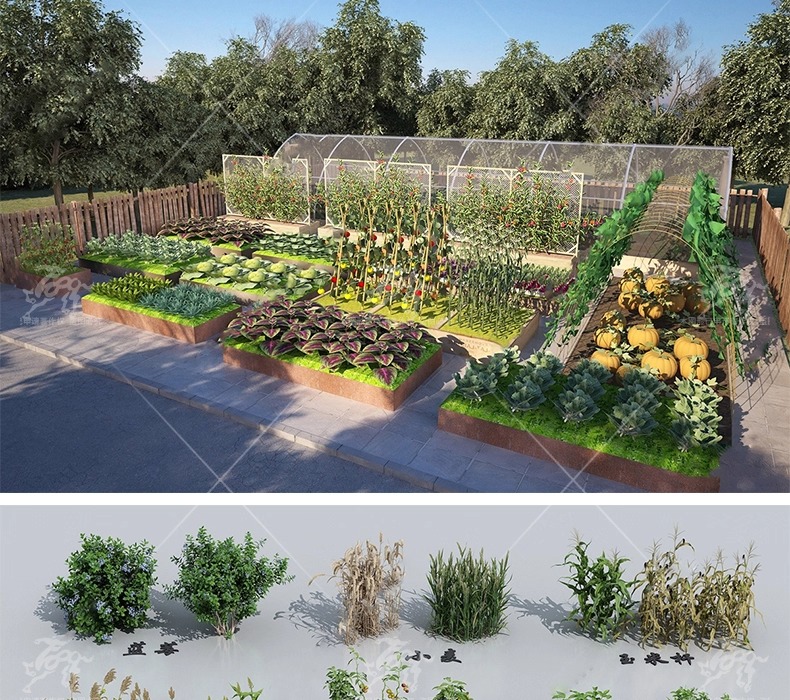 su ls63 crops and animals