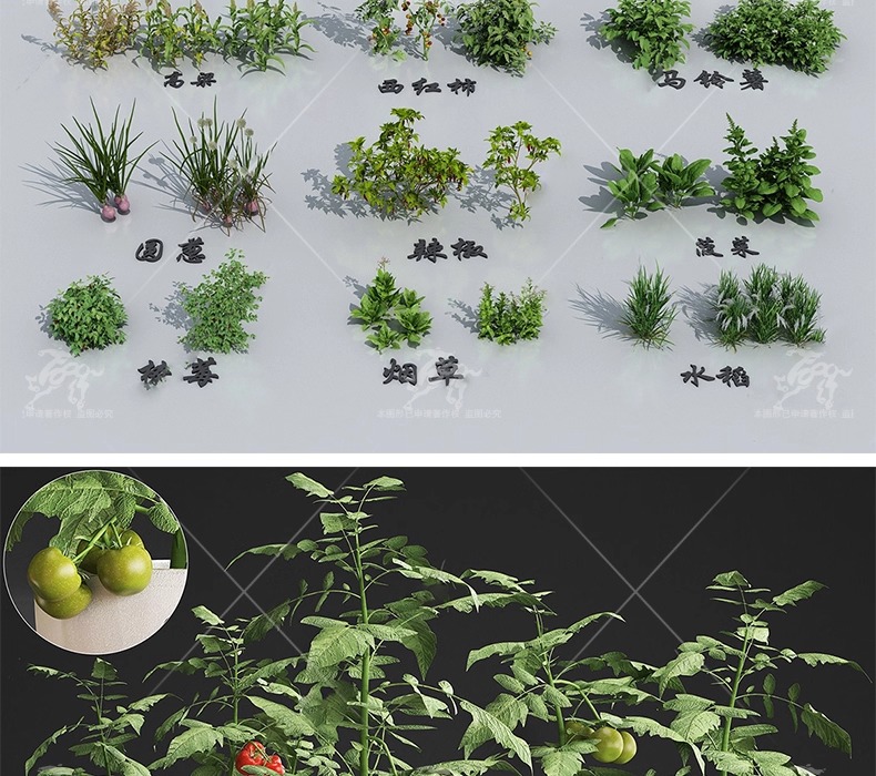 su ls63 crops and animals