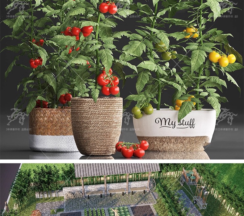 su ls63 crops and animals