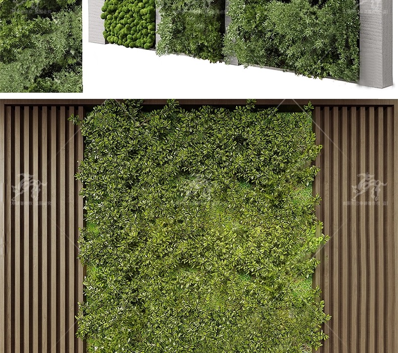 su ls72 plant wall greenery