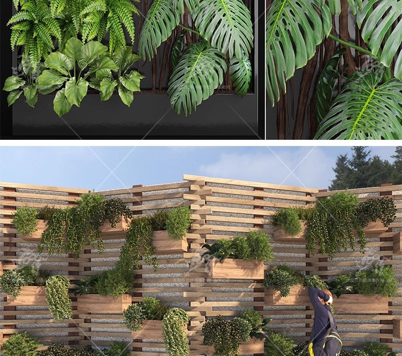 su ls72 plant wall greenery