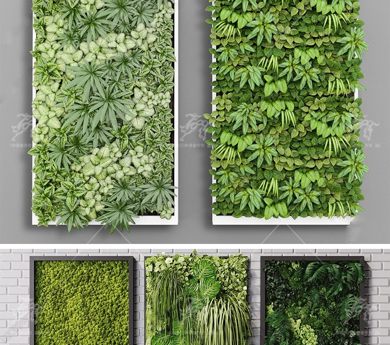 su ls72 plant wall greenery