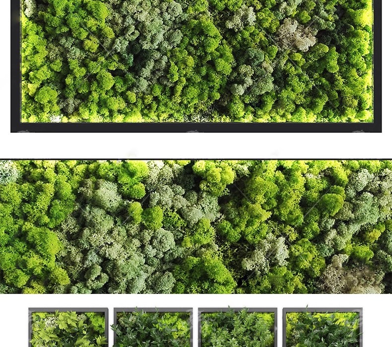 su ls72 plant wall greenery