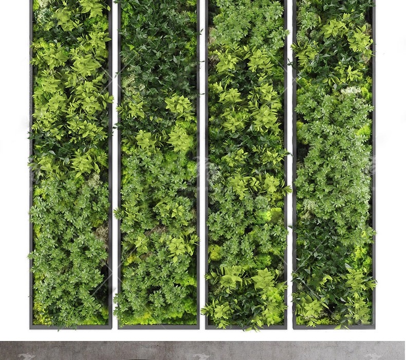 su ls72 plant wall greenery