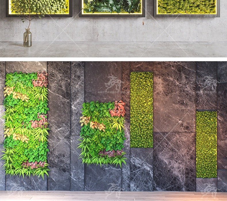 su ls72 plant wall greenery