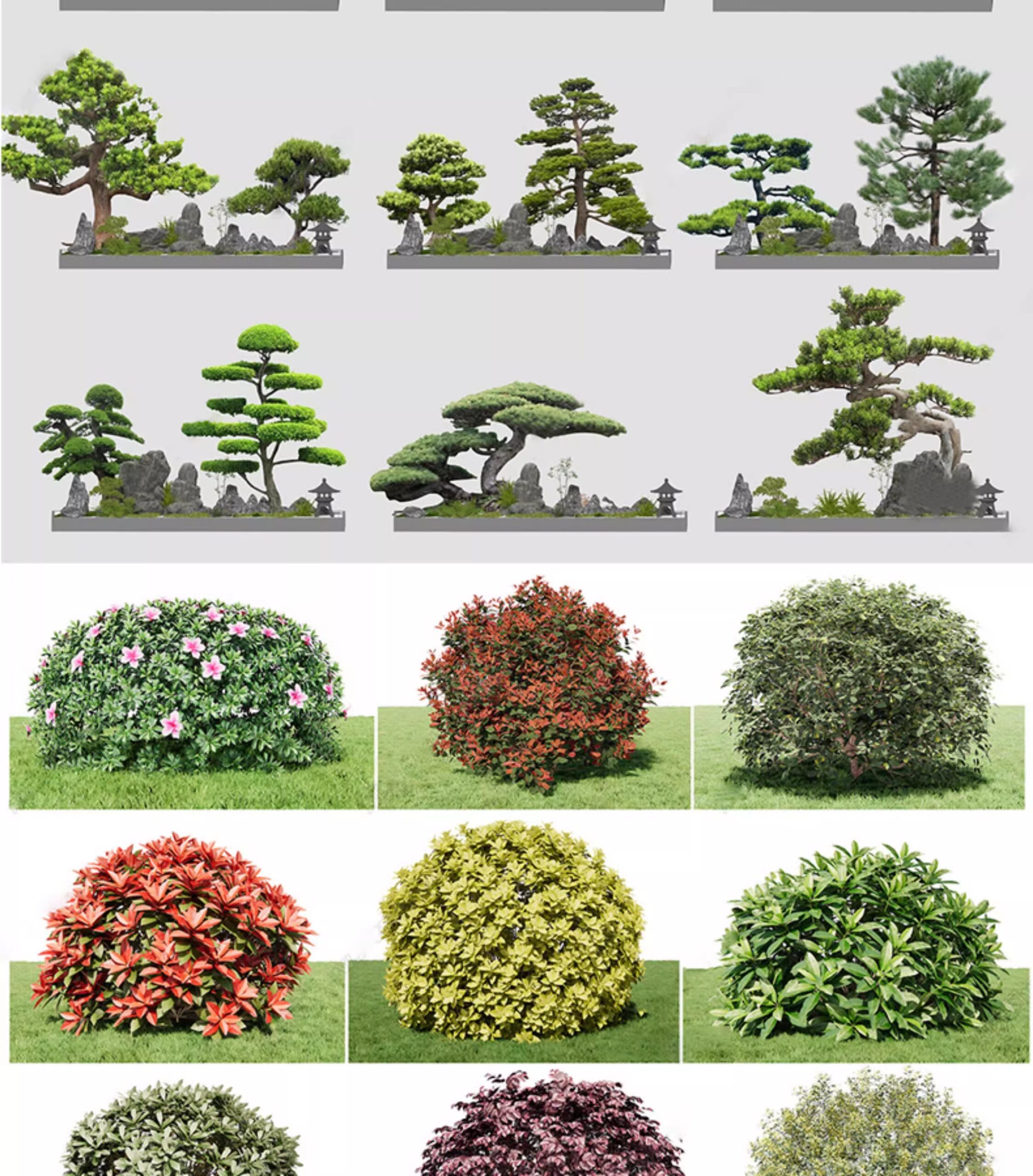 su ls73 landscape plants