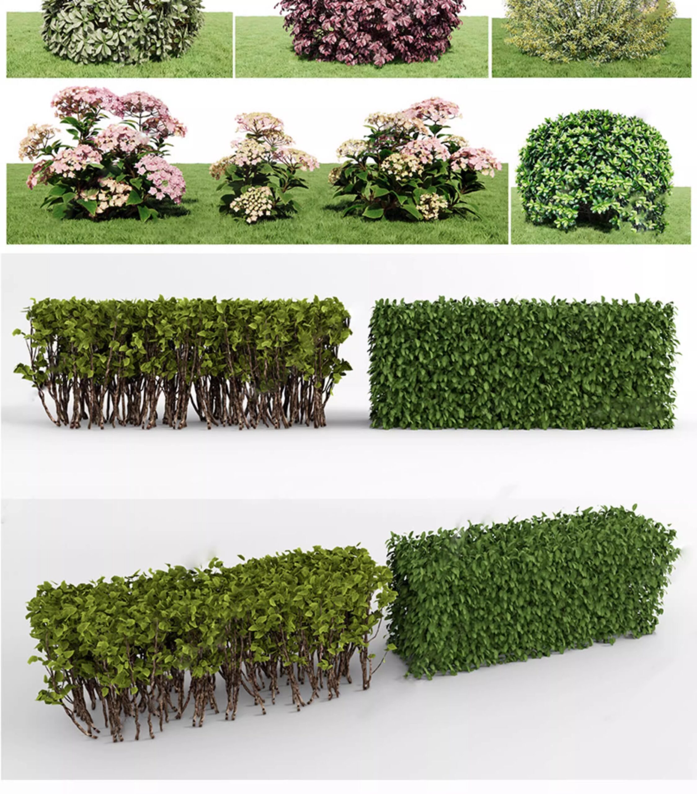 su ls73 landscape plants