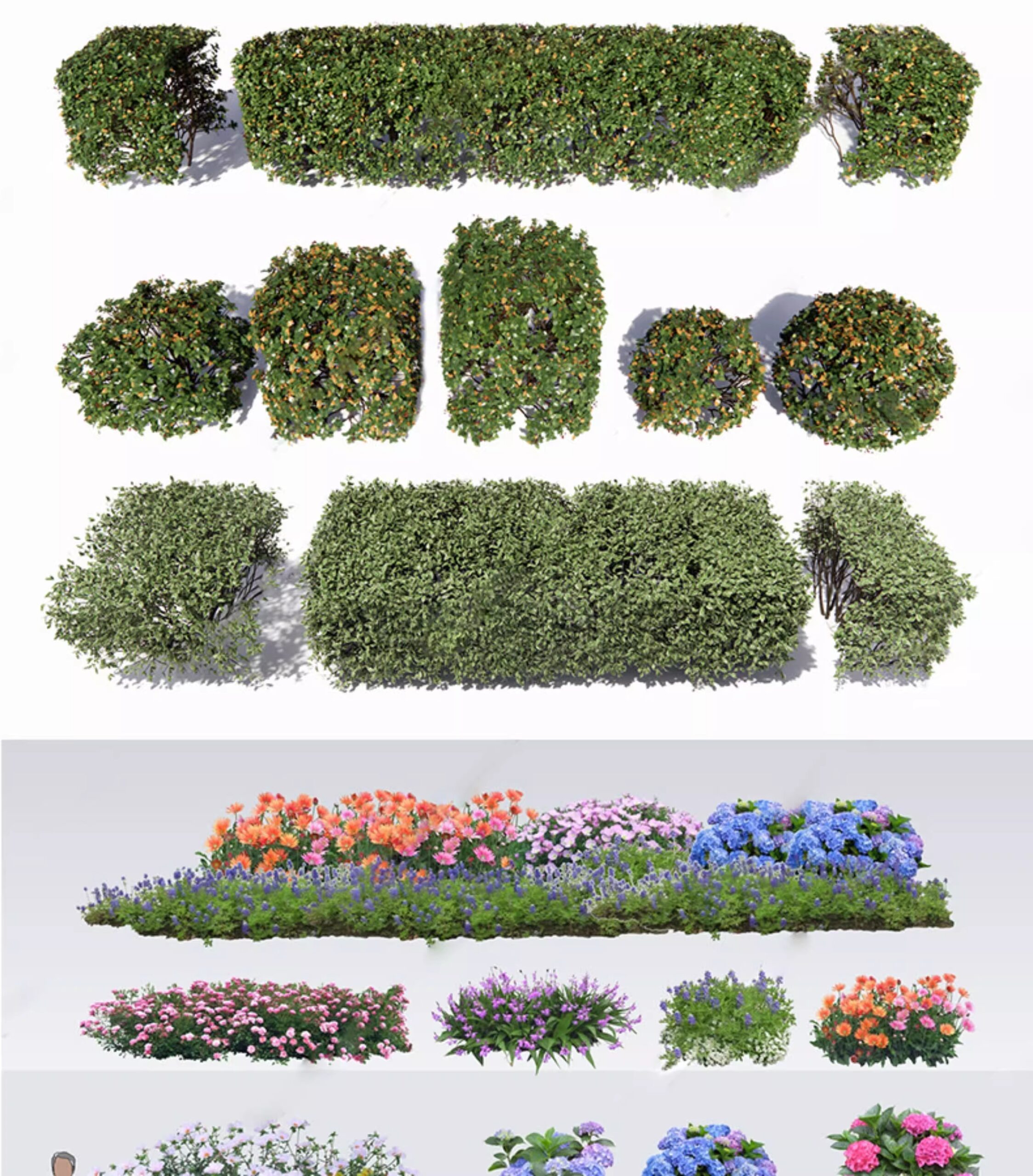 su ls73 landscape plants