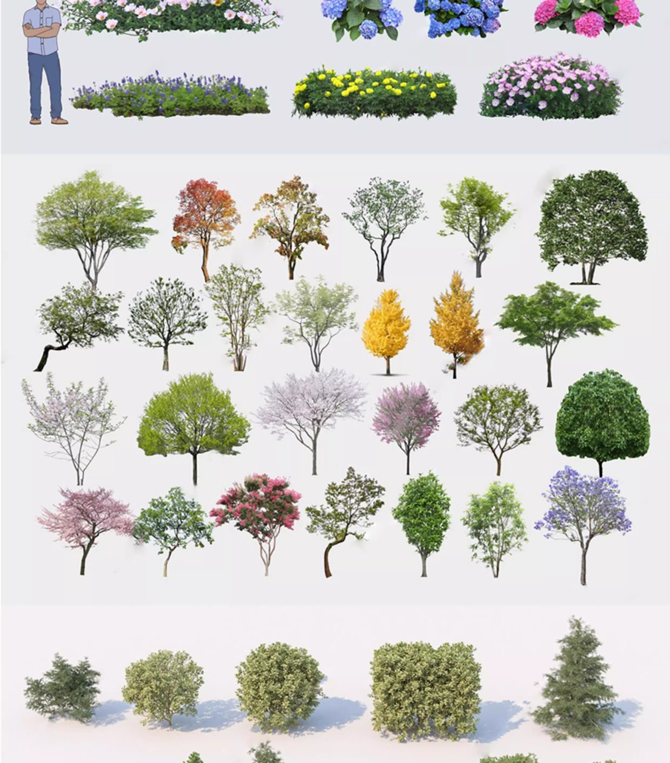 su ls73 landscape plants
