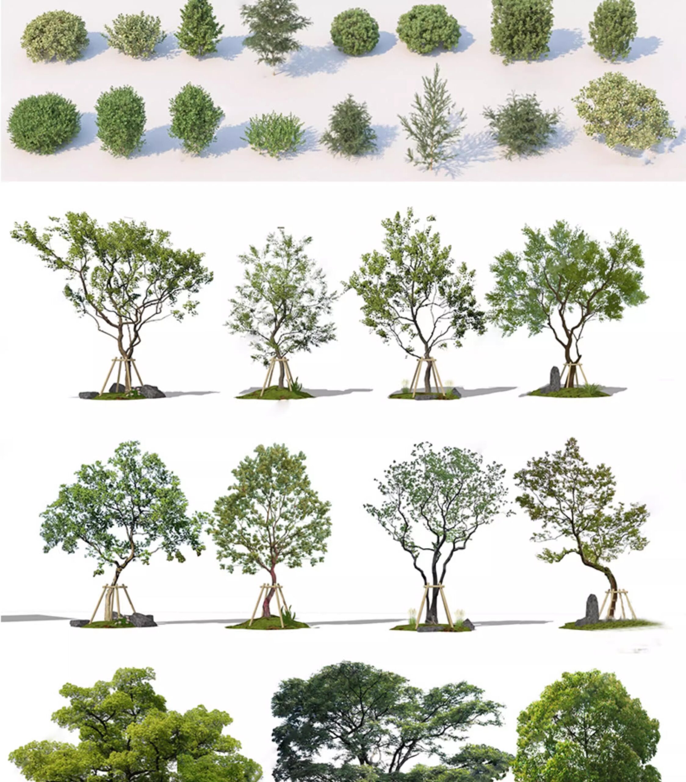 su ls73 landscape plants