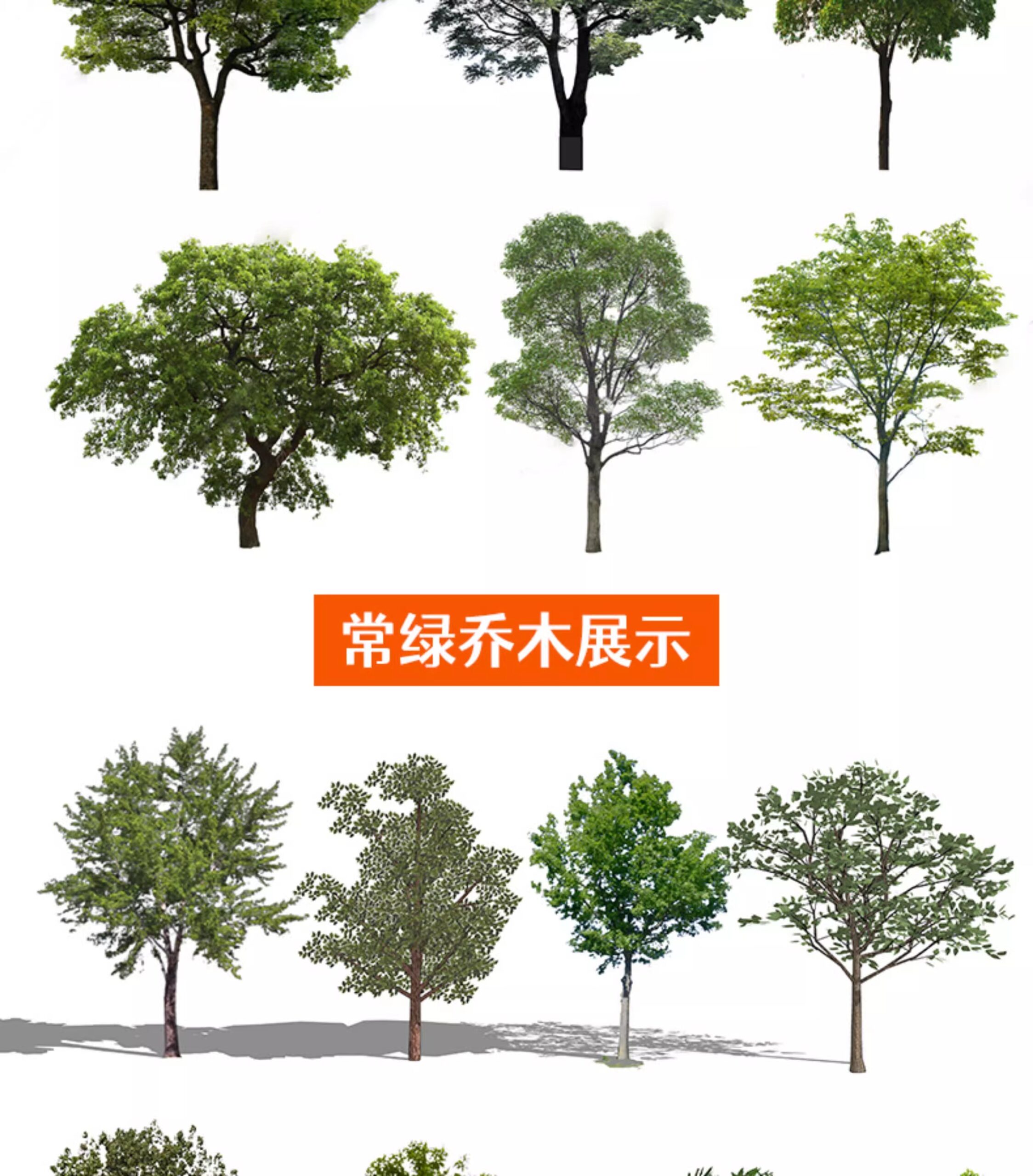 su ls73 landscape plants