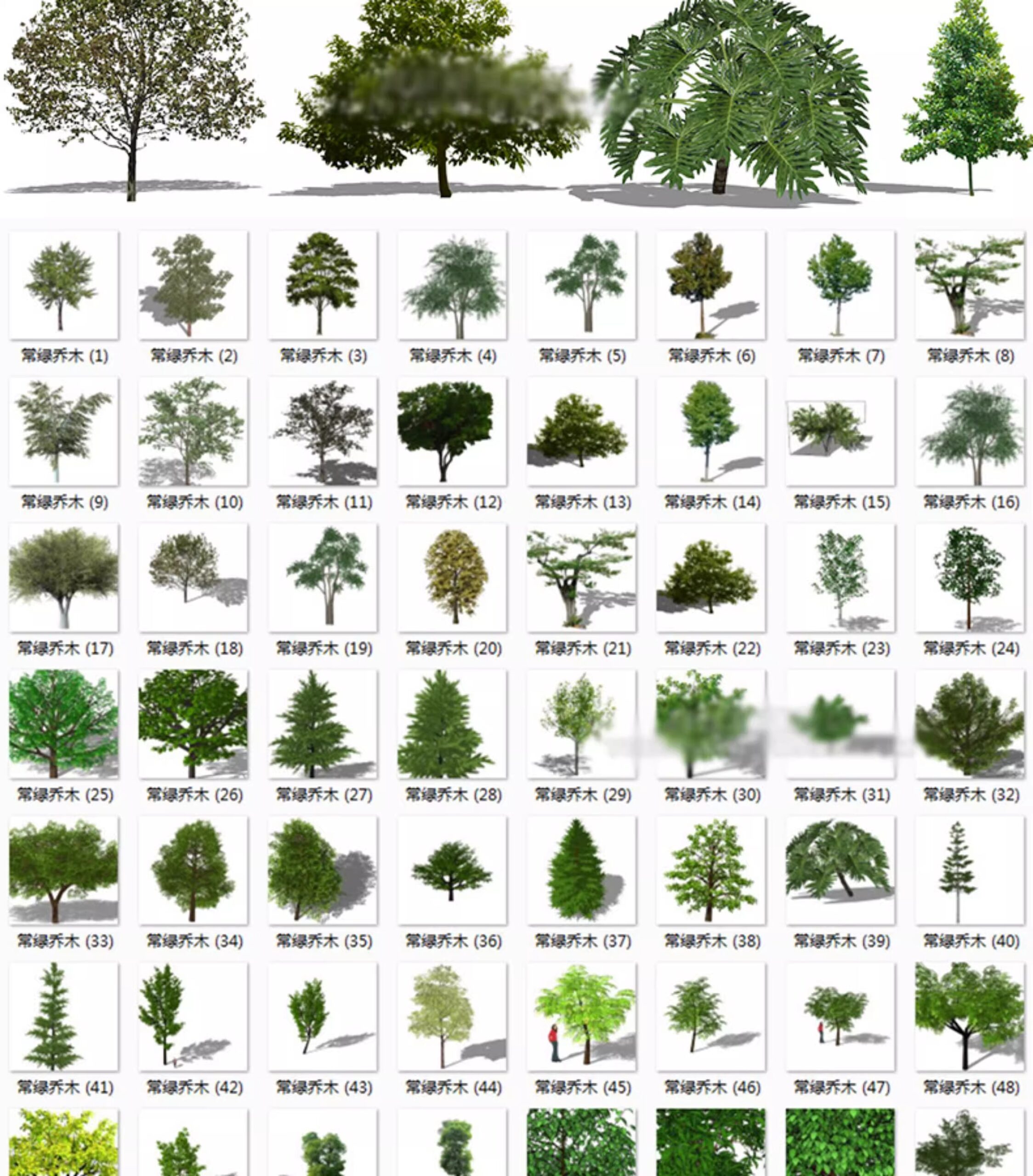 su ls73 landscape plants