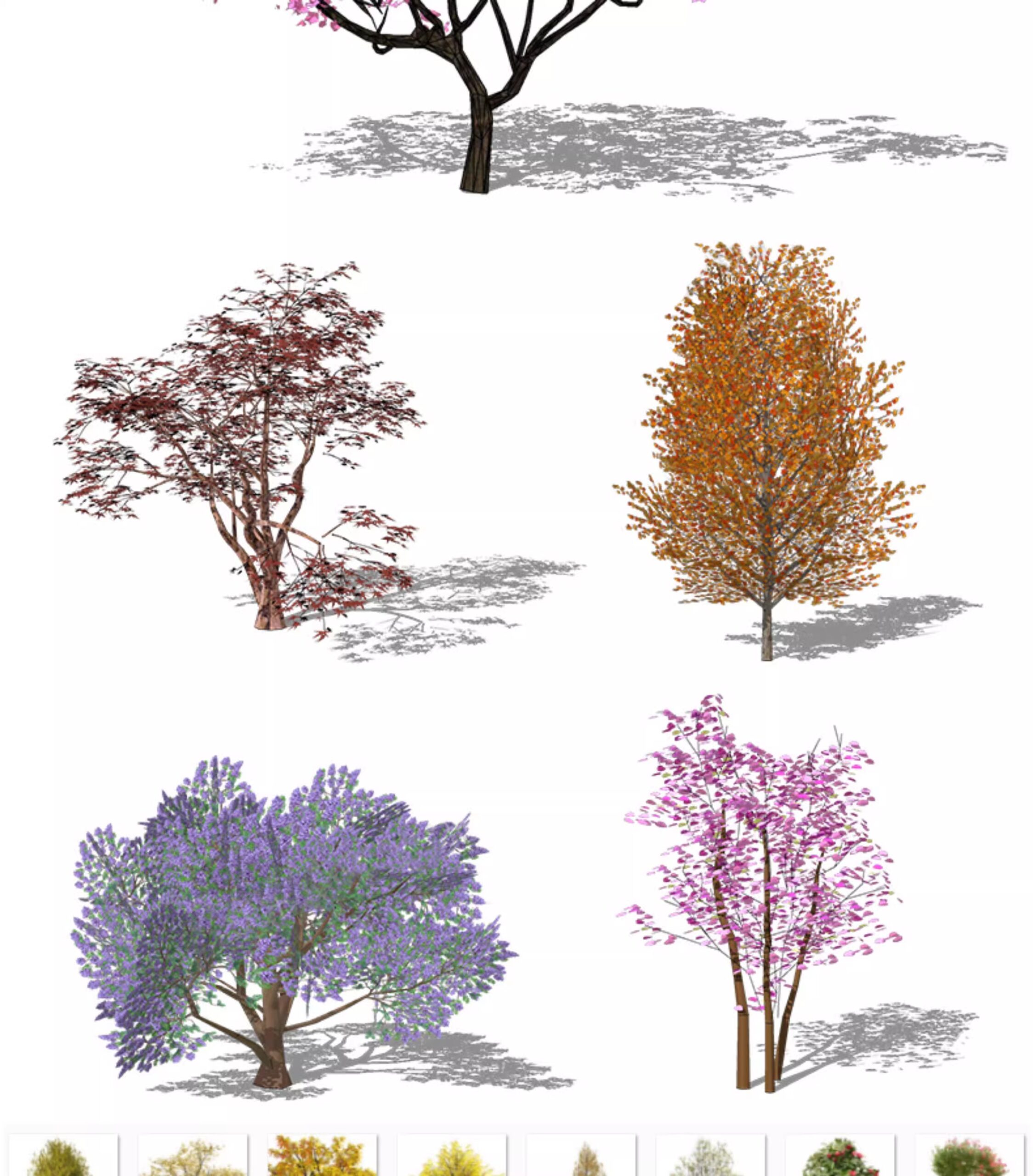 su ls73 landscape plants