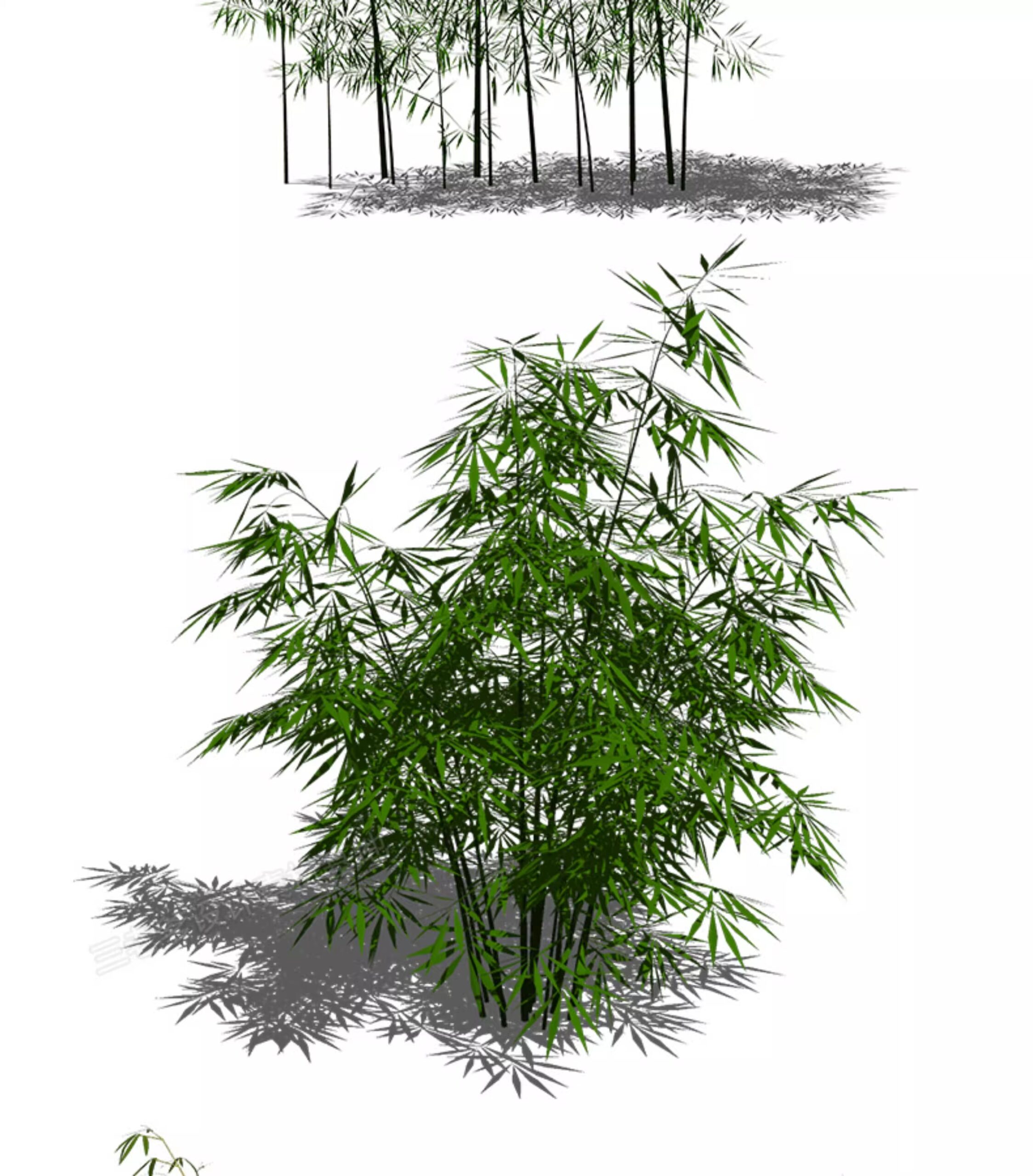 su ls73 landscape plants