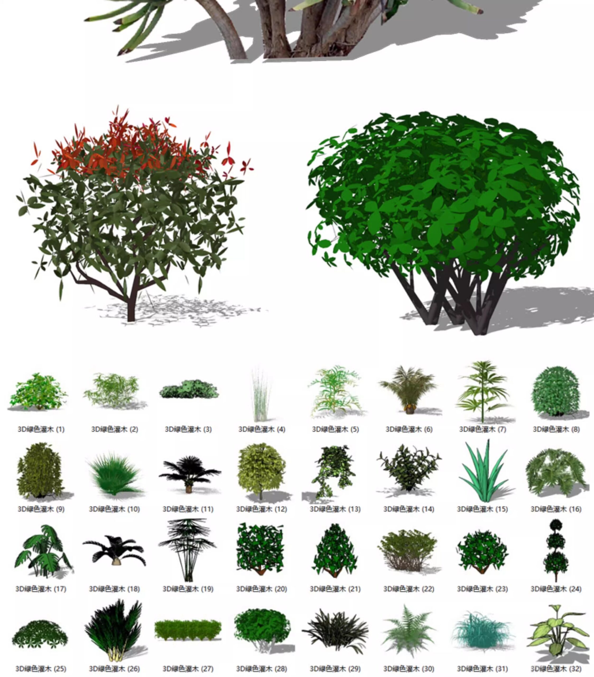 su ls73 landscape plants