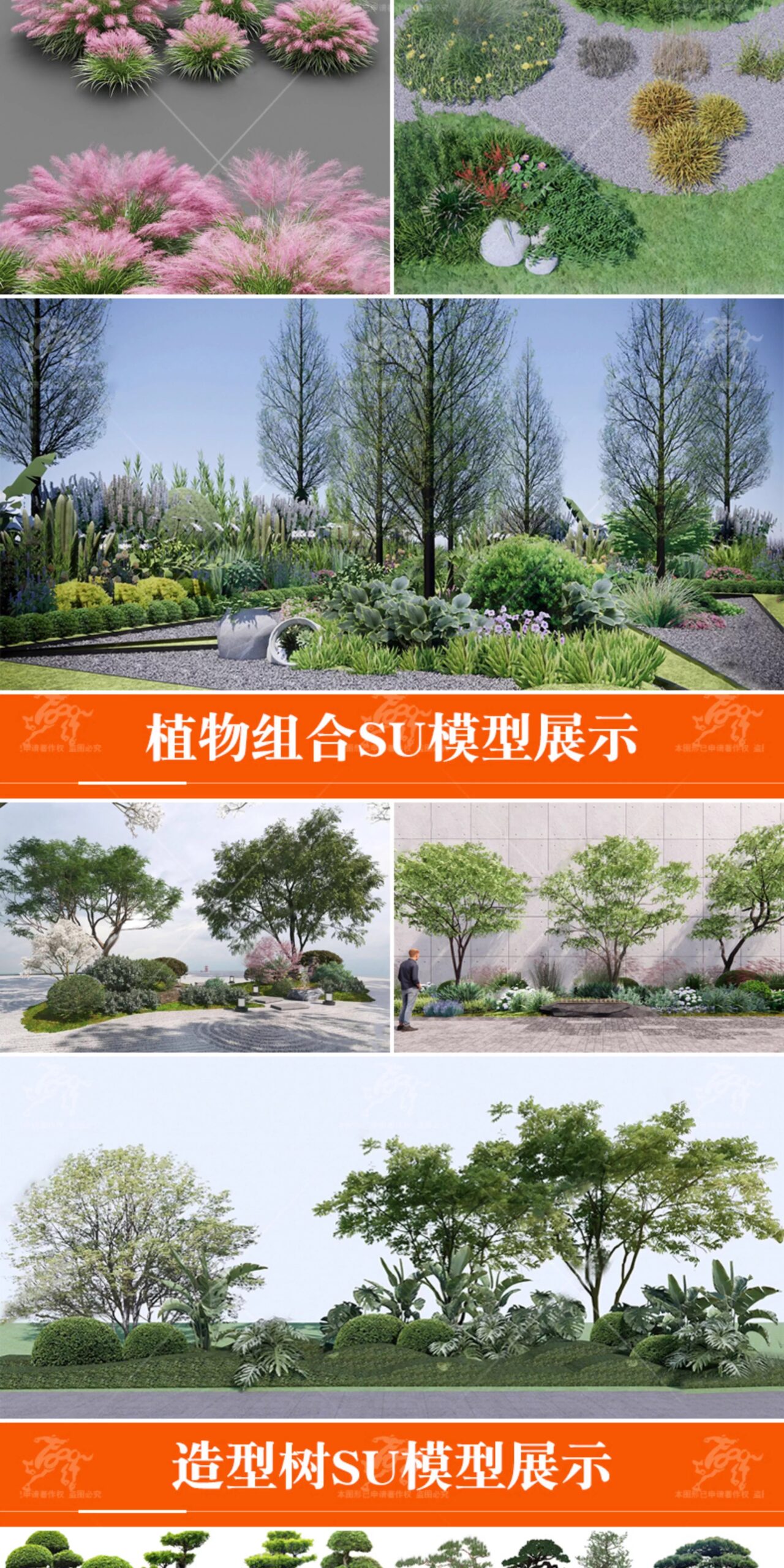 su ls73 landscape plants