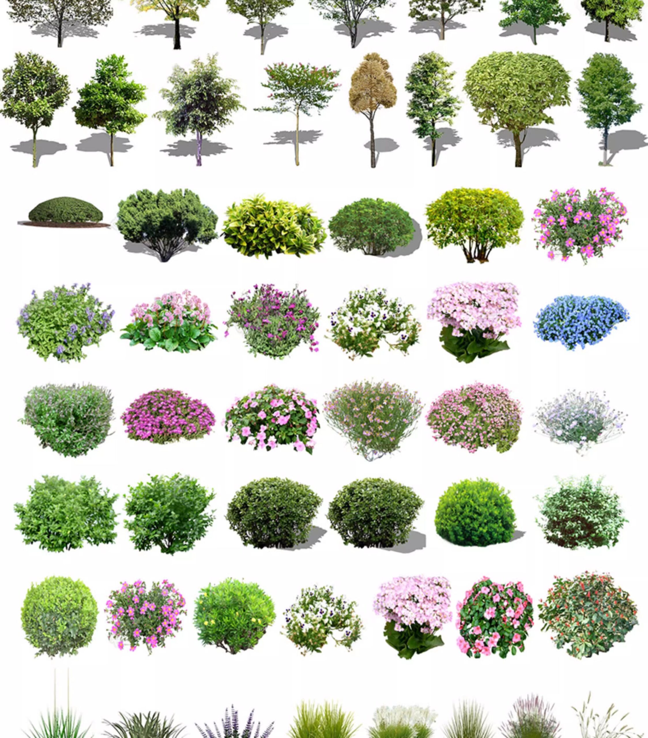 su ls73 landscape plants