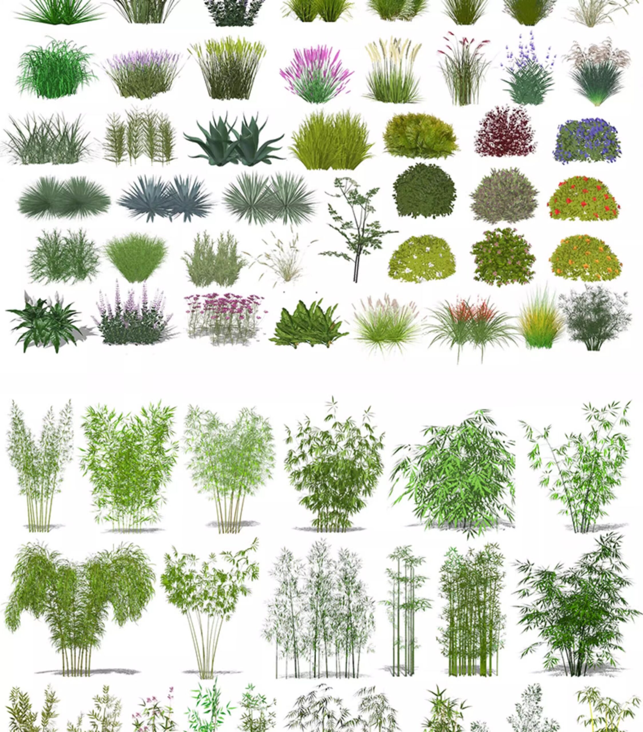 su ls73 landscape plants